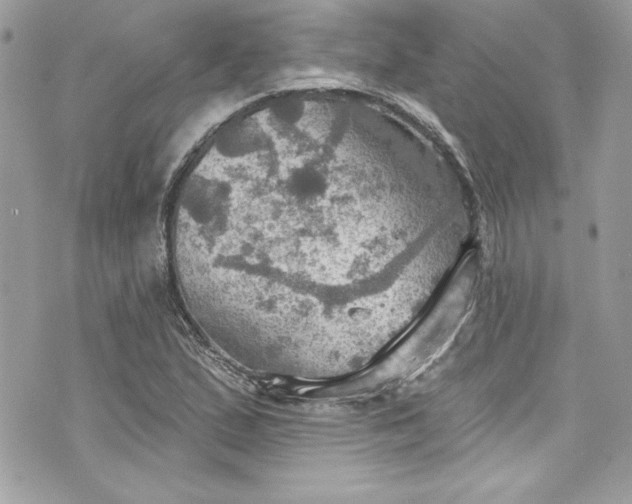 X0000075831167200609291414