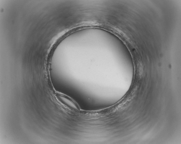 X0000075831168200609291414