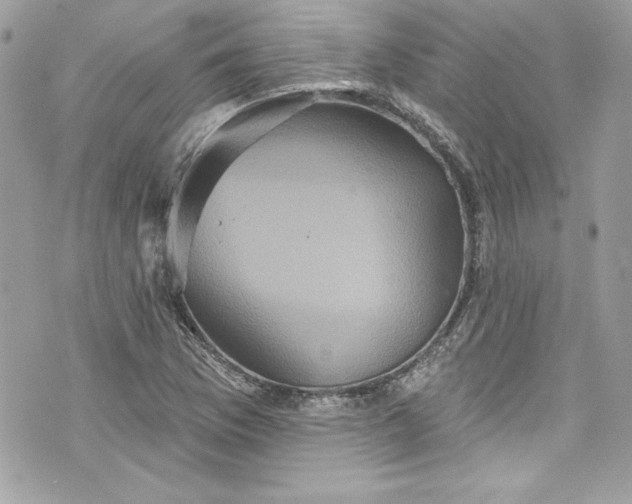 X0000075831169200609291414