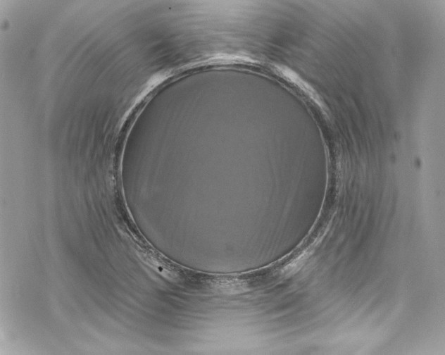 X0000075831170200609291414