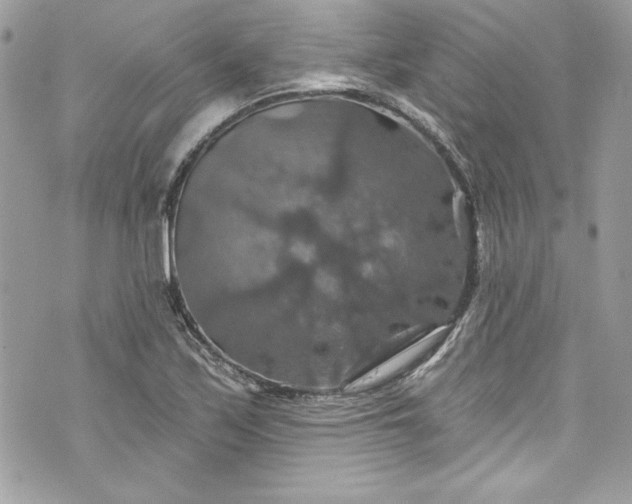 X0000075831171200609291414