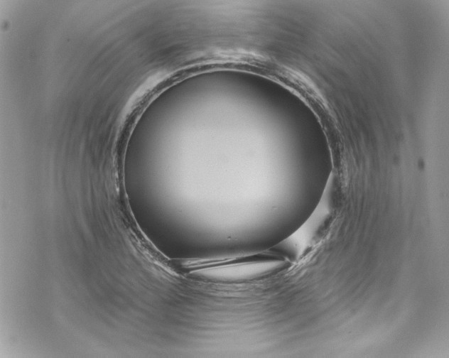 X0000075831172200609291414