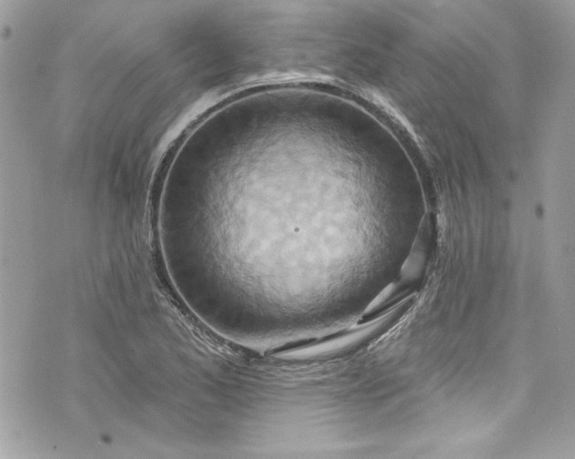 X0000075831173200609291414