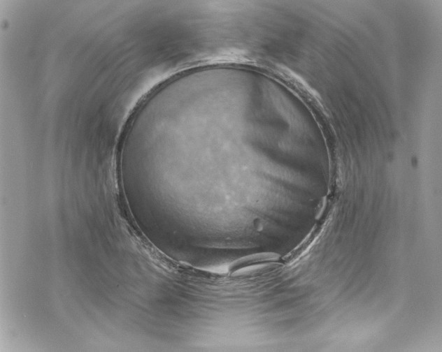 X0000075831174200609291414