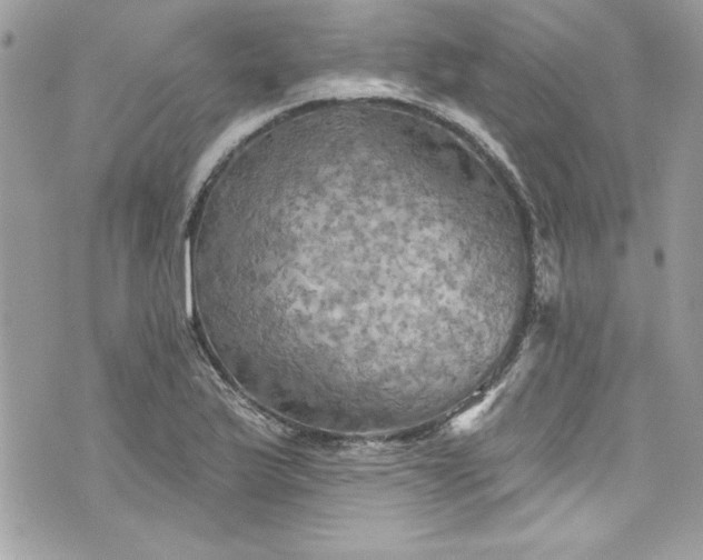 X0000075831175200609291414