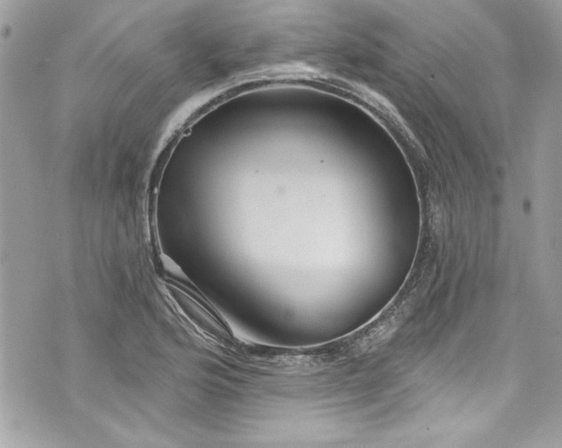 X0000075831176200609291414