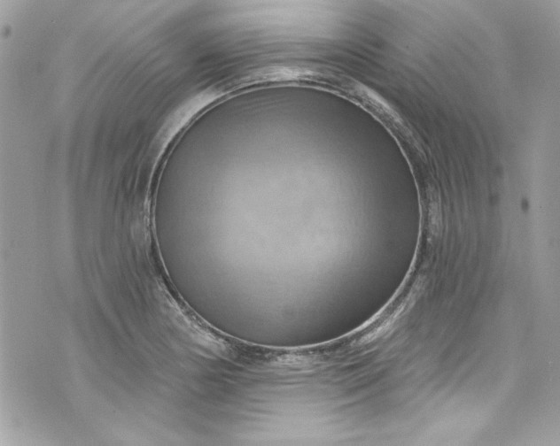 X0000075831178200609291414