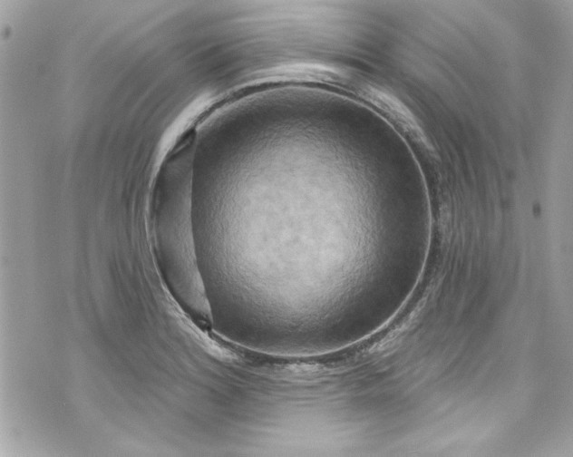 X0000075831180200609291414