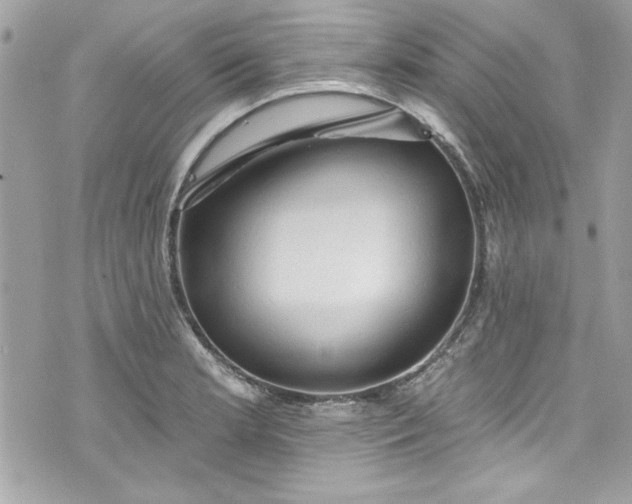 X0000075831181200609291414