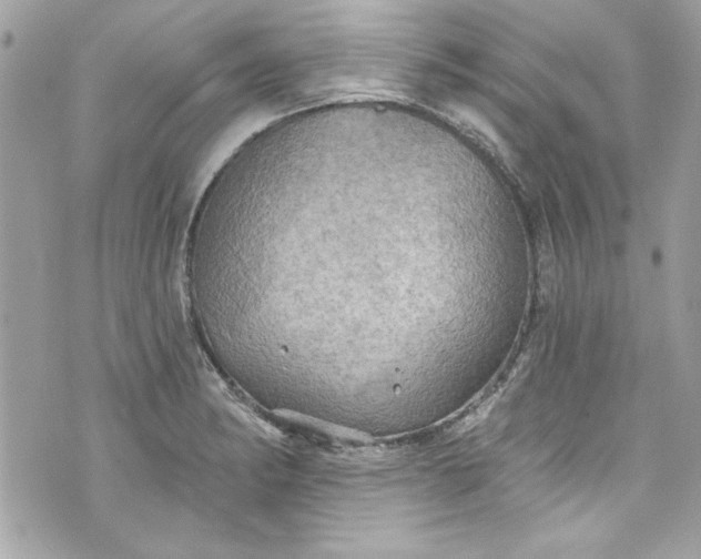 X0000075831182200609291414