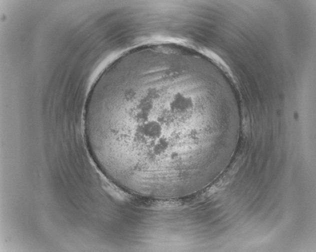 X0000075831183200609291414