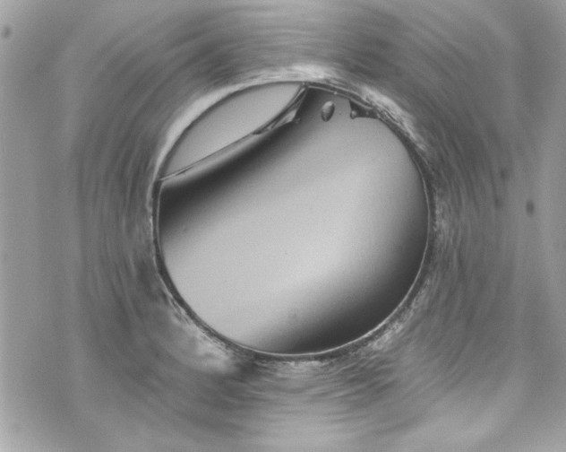 X0000075831184200609291414