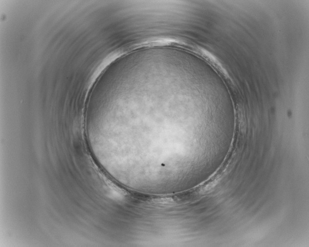 X0000075831186200609291414