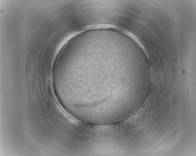 X0000075831187200609291414