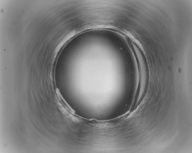 X0000075831189200609291414