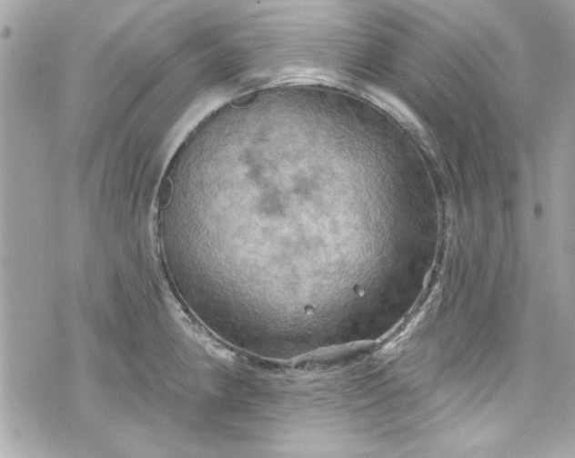 X0000075831190200609291414