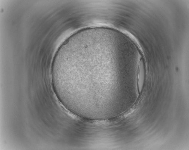 X0000075831191200609291414