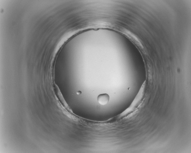 X0000075831192200609291414