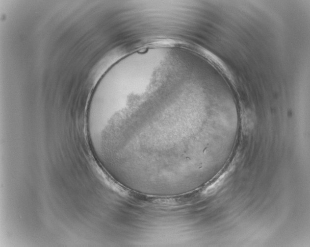 X0000075831194200609291414