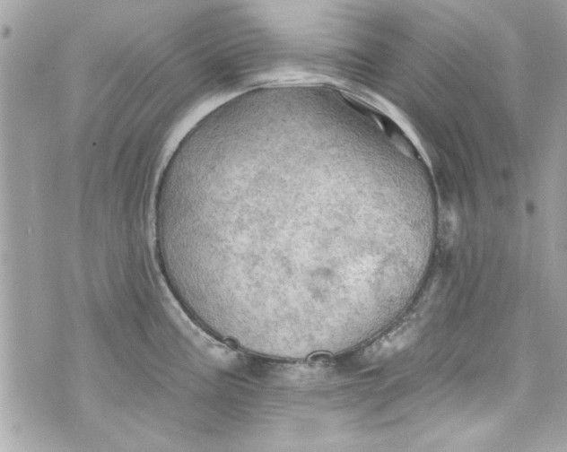 X0000075831195200609291414