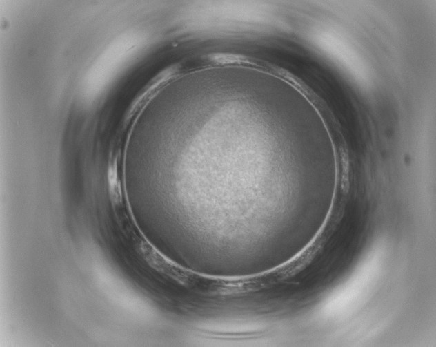 X0000075831198200609291414