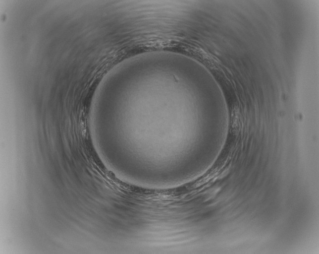 X0000075831202200609291413