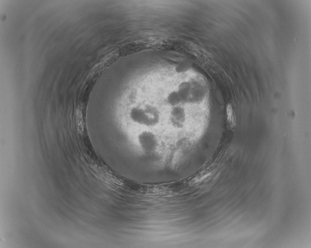 X0000075831203200609291413