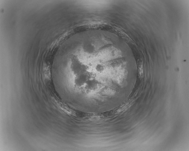 X0000075831204200609291413