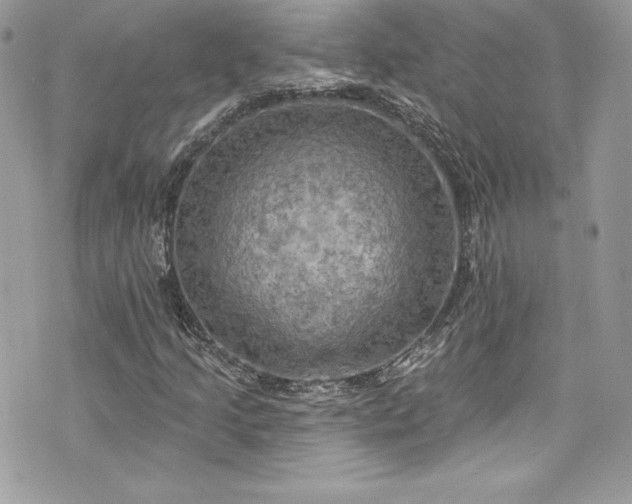 X0000075831205200609291413