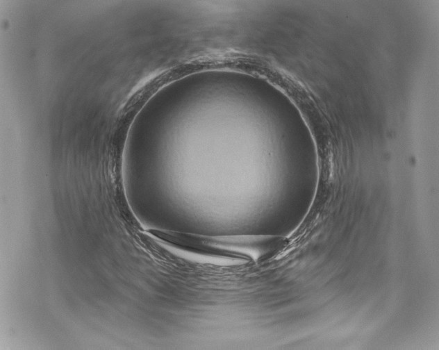 X0000075831206200609291413