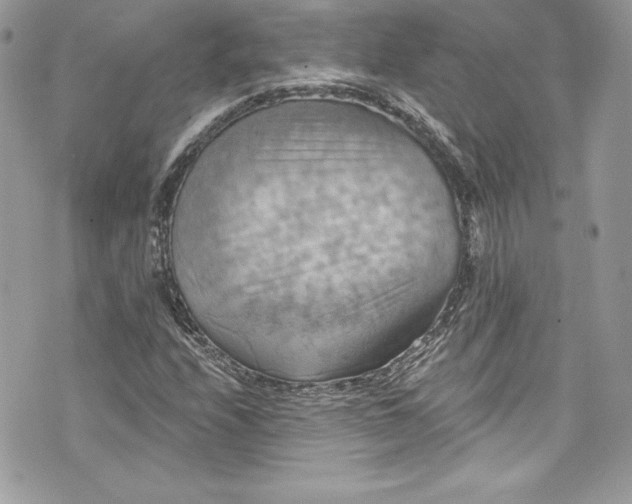 X0000075831208200609291413