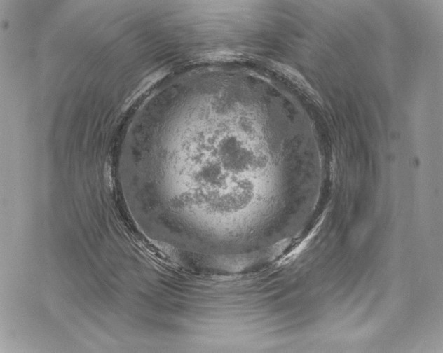 X0000075831209200609291413