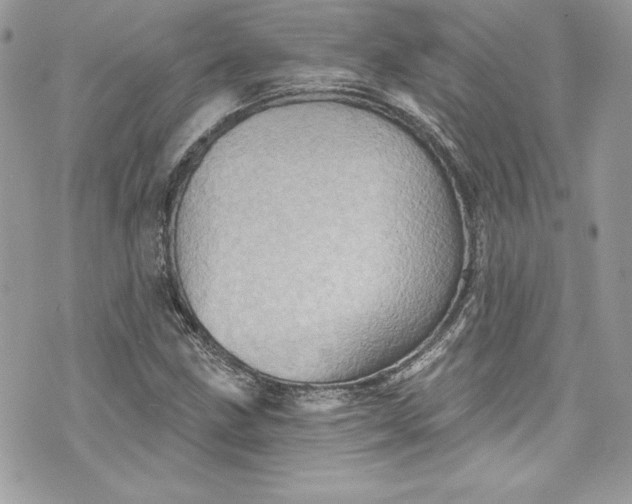 X0000075831211200609291413