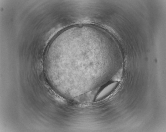 X0000075831212200609291413