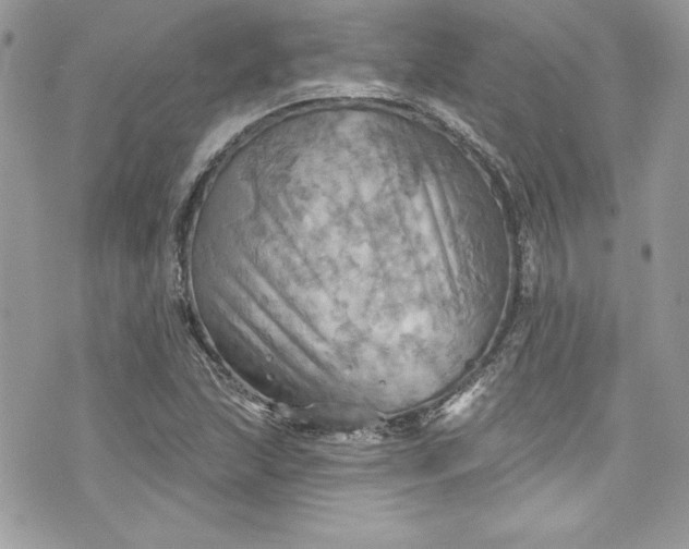 X0000075831215200609291413