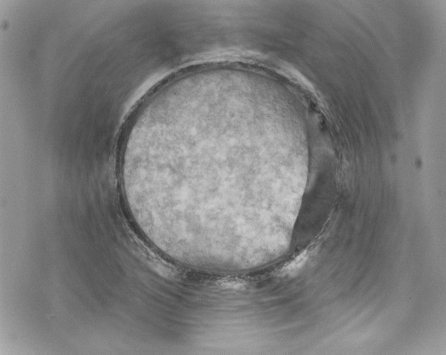 X0000075831216200609291413