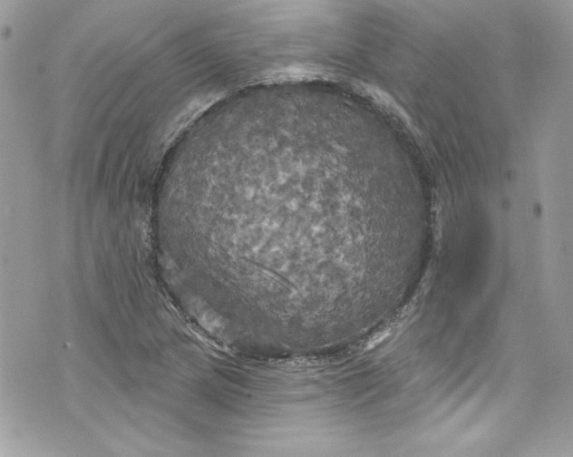 X0000075831217200609291413