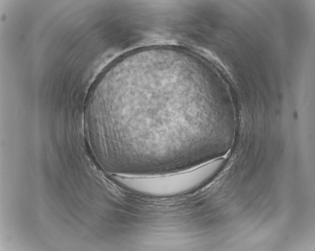 X0000075831220200609291413