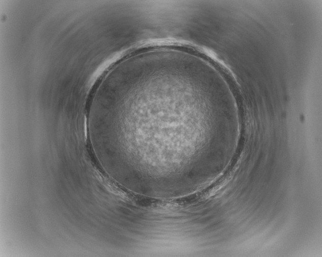 X0000075831221200609291413