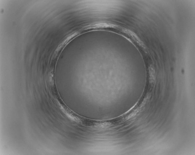 X0000075831225200609291413