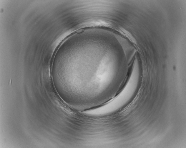 X0000075831226200609291413