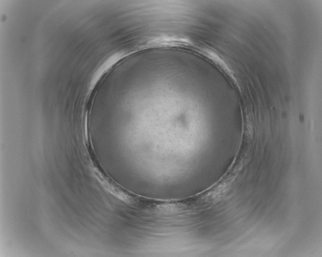 X0000075831227200609291413