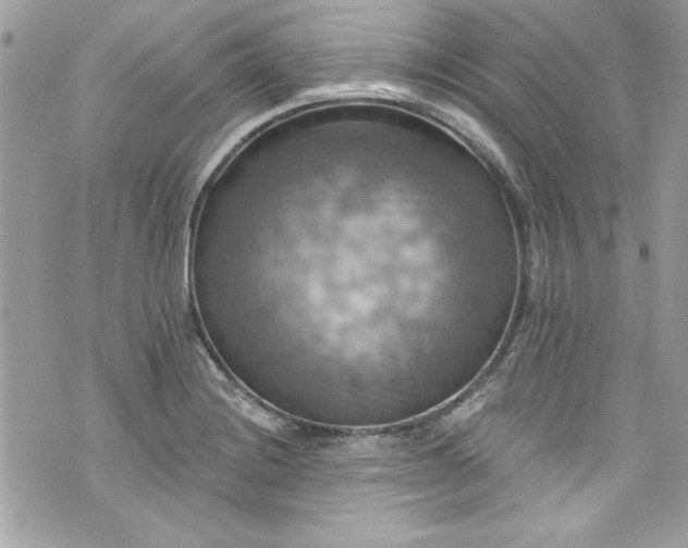 X0000075831228200609291414