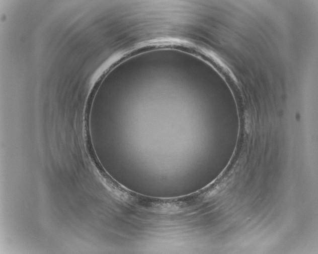 X0000075831229200609291414