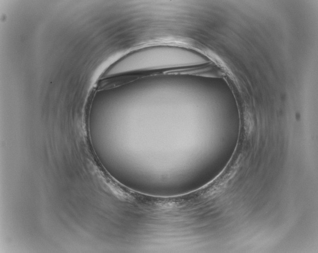 X0000075831230200609291414