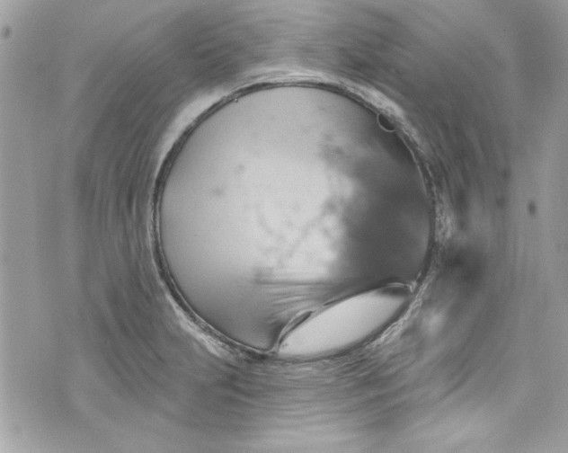 X0000075831231200609291414