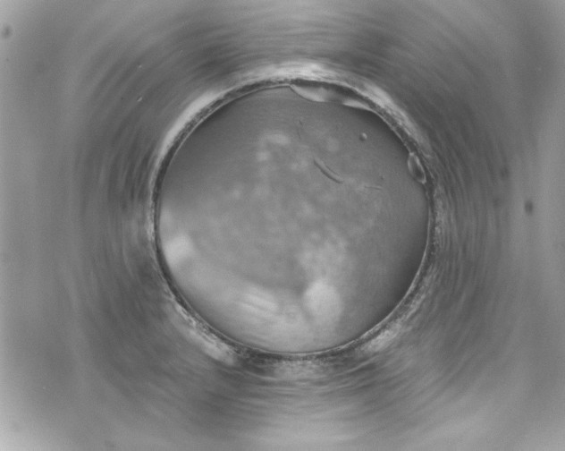 X0000075831232200609291414