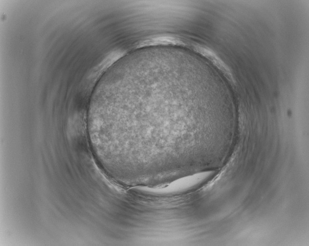 X0000075831233200609291414