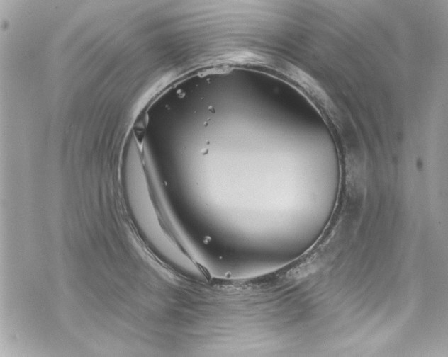 X0000075831234200609291414