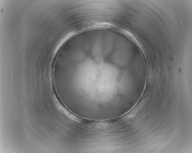 X0000075831235200609291414